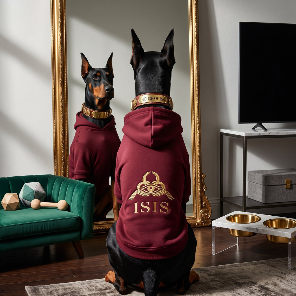 The Isis Royal Pet Hoodie | The House of Ra